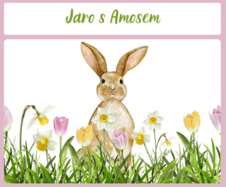 Snímek obrazovky 2025-04-03 222719